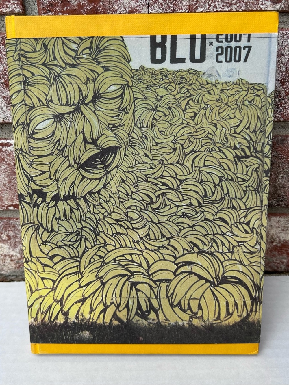 BLU 2004-2007 Blu Studio Cromie 2008 Hardcover Dust Jacket Sketches Murals Art